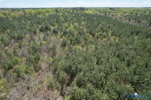 Tiny photo for 600 Mountain Hall Road, Crewe, VA 23930 (MLS # 2530106)