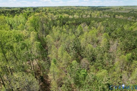 Tiny photo for 600 Mountain Hall Road, Crewe, VA 23930 (MLS # 2530106)