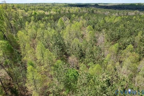 Tiny photo for 600 Mountain Hall Road, Crewe, VA 23930 (MLS # 2530106)