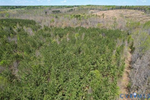 Tiny photo for 600 Mountain Hall Road, Crewe, VA 23930 (MLS # 2530106)