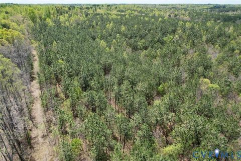 Tiny photo for 600 Mountain Hall Road, Crewe, VA 23930 (MLS # 2530106)