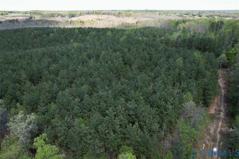 Tiny photo for 600 Mountain Hall Road, Crewe, VA 23930 (MLS # 2530106)