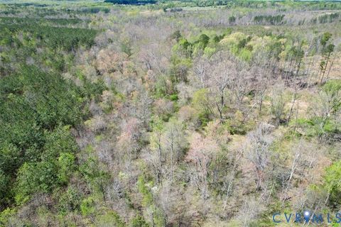 Tiny photo for 600 Mountain Hall Road, Crewe, VA 23930 (MLS # 2530106)