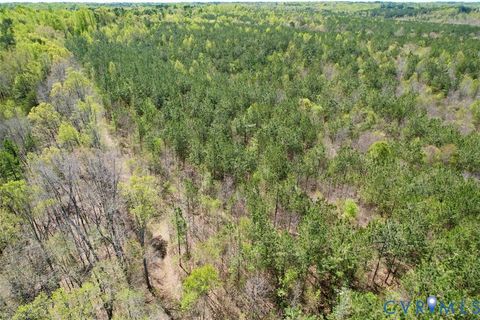 Tiny photo for 600 Mountain Hall Road, Crewe, VA 23930 (MLS # 2530106)