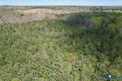 Tiny photo for 600 Mountain Hall Road, Crewe, VA 23930 (MLS # 2530106)