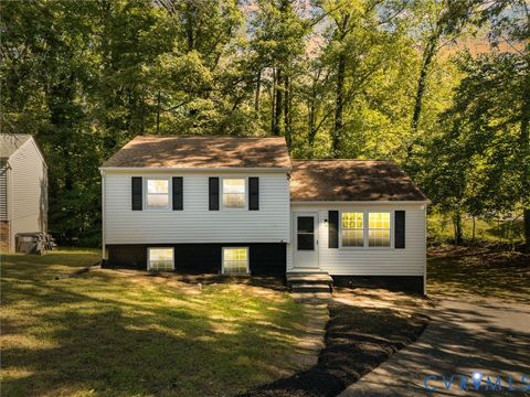 Photo of 7003 Egan Place, Chesterfield, VA 23832 (MLS # 2528386)