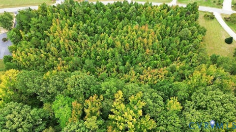 Tiny photo for 3611 Branch Lake Court, Powhatan, VA 23139 (MLS # 2624180)