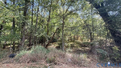 Tiny photo for 0 Banner Street, Danville, VA 24541 (MLS # 2625167)
