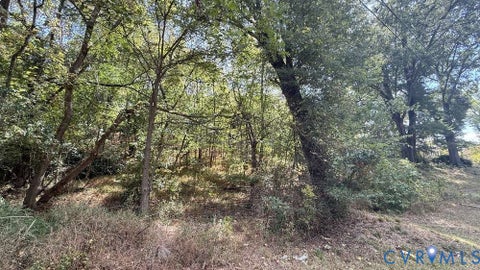 Tiny photo for 0 Banner Street, Danville, VA 24541 (MLS # 2625167)