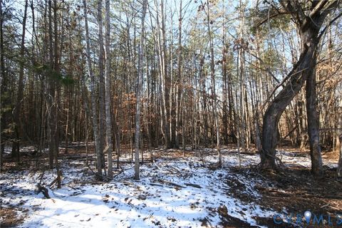 Tiny photo for 0B Slate River Mill Road, Buckingham, VA 23921 (MLS # 2601987)