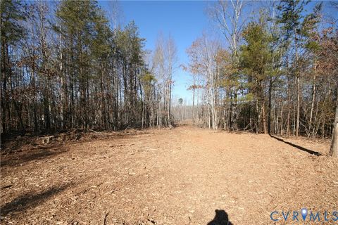 Tiny photo for 0B Slate River Mill Road, Buckingham, VA 23921 (MLS # 2601987)
