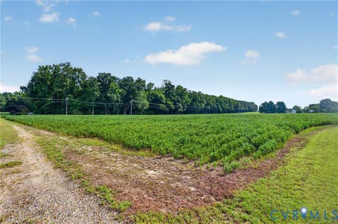Tiny photo for 00 Johns Road, Carson, VA 23830 (MLS # 2622225)