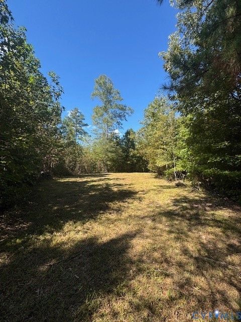 Tiny photo for 0000 Reedy Creek Road, Gasburg, VA 23856 (MLS # 2528148)