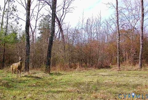 Tiny photo for 0000 Reedy Creek Road, Gasburg, VA 23856 (MLS # 2528148)