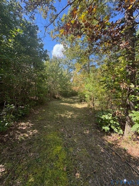 Tiny photo for 0000 Reedy Creek Road, Gasburg, VA 23856 (MLS # 2528148)