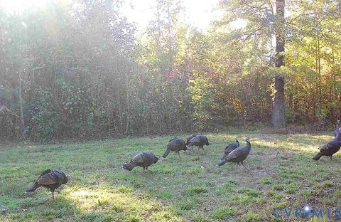 Tiny photo for 0000 Reedy Creek Road, Gasburg, VA 23856 (MLS # 2528148)