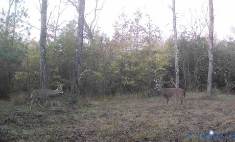 Tiny photo for 0000 Reedy Creek Road, Gasburg, VA 23856 (MLS # 2528148)