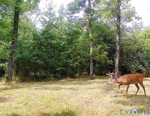 Tiny photo for 0000 Reedy Creek Road, Gasburg, VA 23856 (MLS # 2528148)