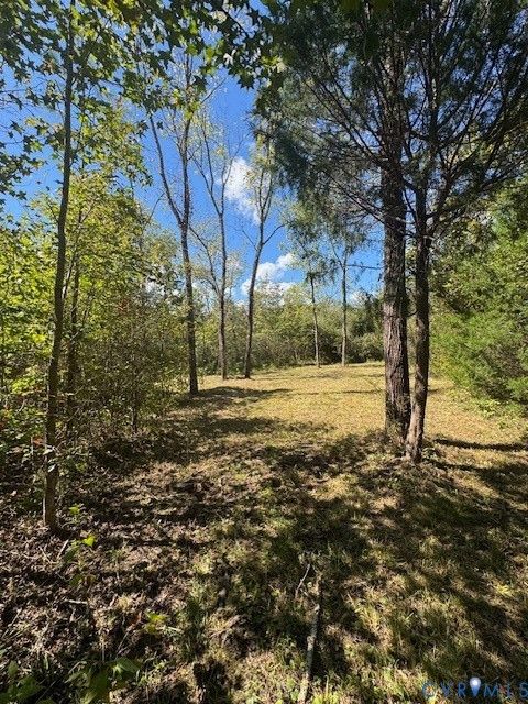Tiny photo for 0000 Reedy Creek Road, Gasburg, VA 23856 (MLS # 2528148)