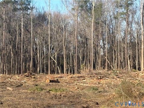 Tiny photo for TBD Prince George Drive, Prince George, VA 23875 (MLS # 2533881)