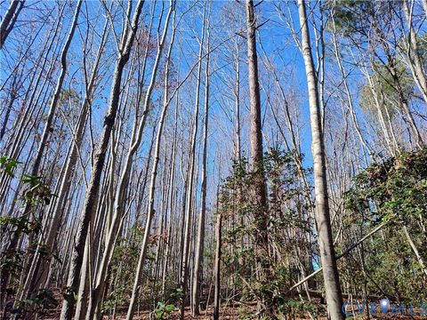 Tiny photo for 108.5 AC Buzzards Neck Road, Lancaster, VA 22503 (MLS # 2532611)