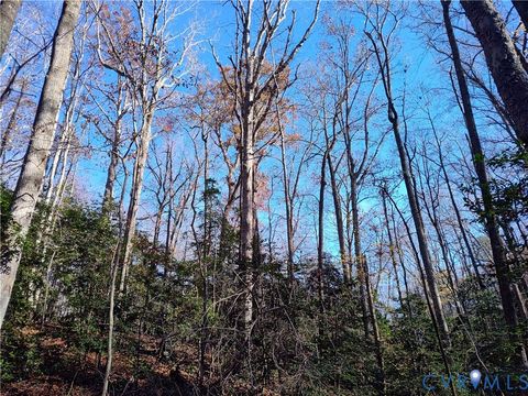 Tiny photo for 108.5 AC Buzzards Neck Road, Lancaster, VA 22503 (MLS # 2532611)