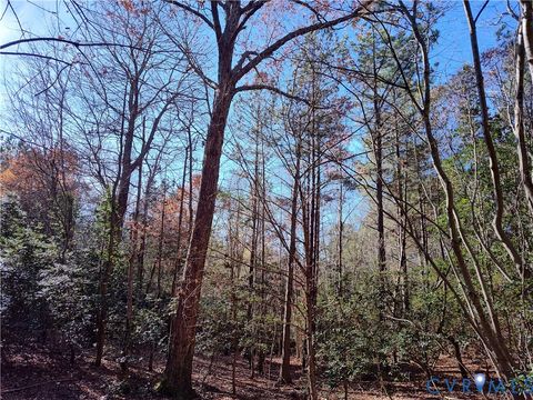 Tiny photo for 108.5 AC Buzzards Neck Road, Lancaster, VA 22503 (MLS # 2532611)