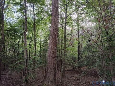 Tiny photo for 108.5 AC Buzzards Neck Road, Lancaster, VA 22503 (MLS # 2532611)