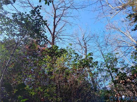 Tiny photo for 108.5 AC Buzzards Neck Road, Lancaster, VA 22503 (MLS # 2532611)