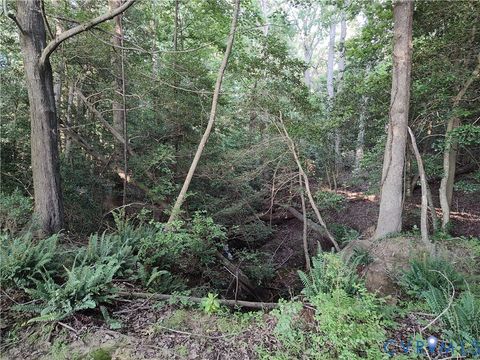 Tiny photo for 108.5 AC Buzzards Neck Road, Lancaster, VA 22503 (MLS # 2532611)