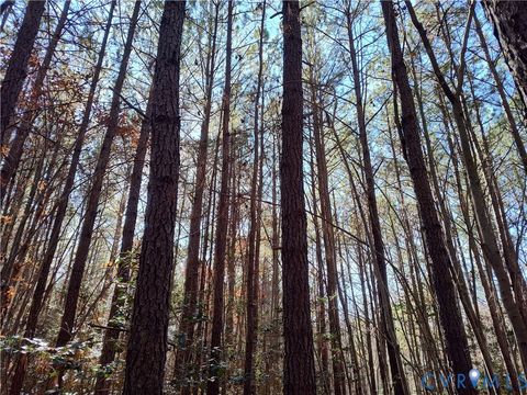 Tiny photo for 108.5 AC Buzzards Neck Road, Lancaster, VA 22503 (MLS # 2532611)