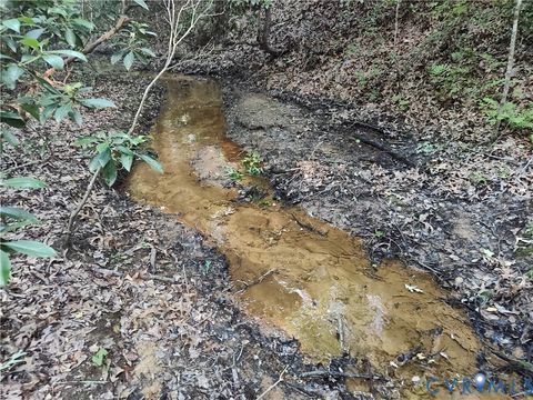 Tiny photo for 108.5 AC Buzzards Neck Road, Lancaster, VA 22503 (MLS # 2532611)