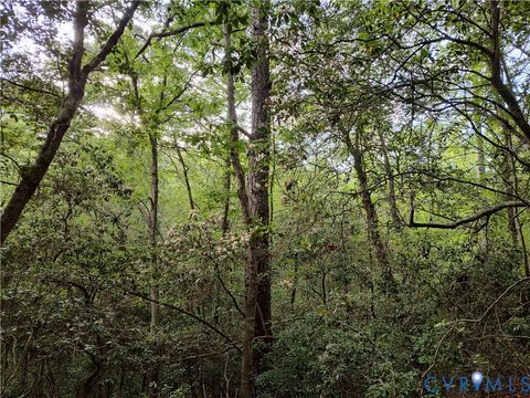 Tiny photo for 108.5 AC Buzzards Neck Road, Lancaster, VA 22503 (MLS # 2532611)