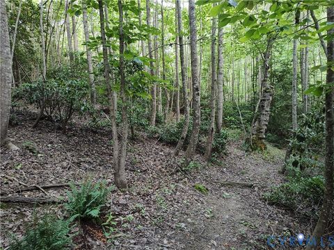 Tiny photo for 108.5 AC Buzzards Neck Road, Lancaster, VA 22503 (MLS # 2532611)