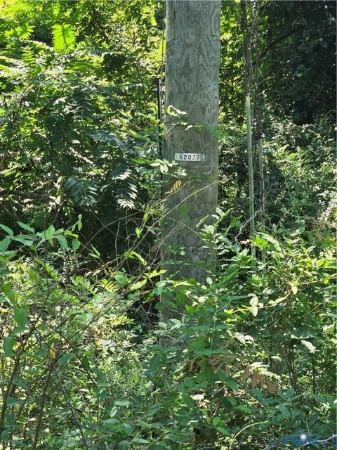 Tiny photo for 595 Woodfork Road, Charlotte Courthouse, VA 23923 (MLS # 2522729)