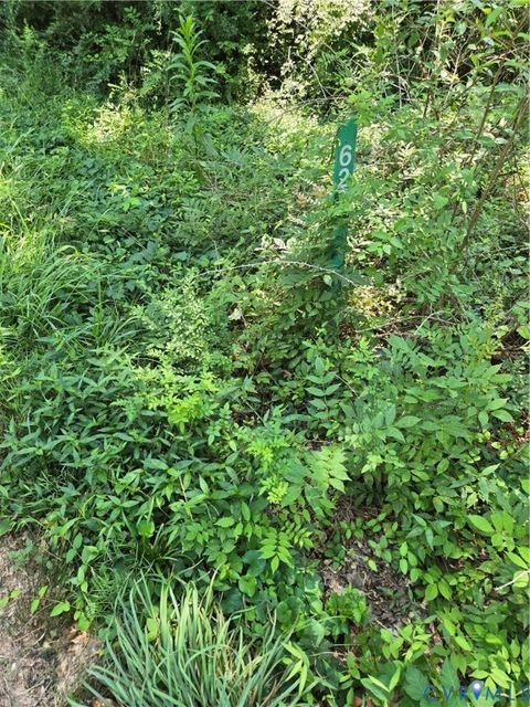 Tiny photo for 595 Woodfork Road, Charlotte Courthouse, VA 23923 (MLS # 2522729)