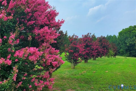 Tiny photo for 15861 Jefferson Highway, Bumpass, VA 23024 (MLS # 2619477)