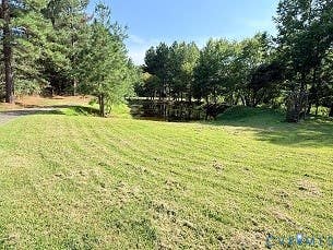 Tiny photo for 22900 ST. JAMES Street, Jetersville, VA 23083 (MLS # 2623083)