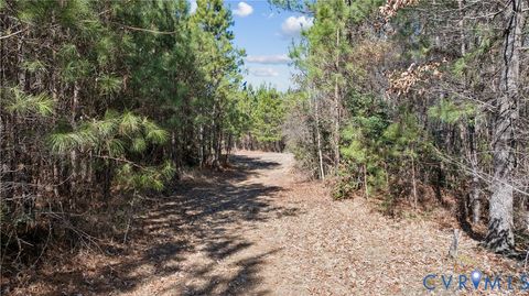 Tiny photo for 10445 Southampton Parkway, Drewryville, VA 23844 (MLS # 2606108)