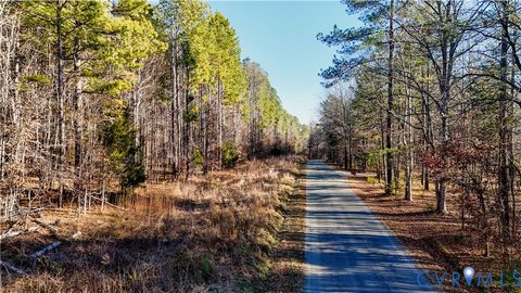 Tiny photo for 00 Namozine Road, Amelia Courthouse, VA 23002 (MLS # 2533347)