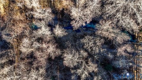 Tiny photo for 00 Namozine Road, Amelia Courthouse, VA 23002 (MLS # 2533347)