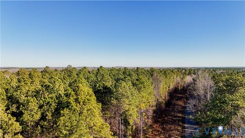 Tiny photo for 00 Namozine Road, Amelia Courthouse, VA 23002 (MLS # 2533347)