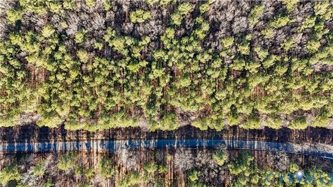 Tiny photo for 00 Namozine Road, Amelia Courthouse, VA 23002 (MLS # 2533347)