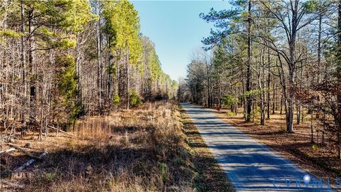 Tiny photo for 00 Namozine Road, Amelia Courthouse, VA 23002 (MLS # 2533347)