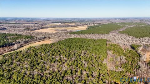 Tiny photo for 00 Namozine Road, Amelia Courthouse, VA 23002 (MLS # 2533347)