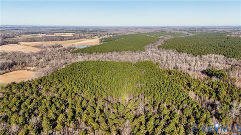 Tiny photo for 00 Namozine Road, Amelia Courthouse, VA 23002 (MLS # 2533347)