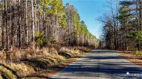 Tiny photo for 00 Namozine Road, Amelia Courthouse, VA 23002 (MLS # 2533347)