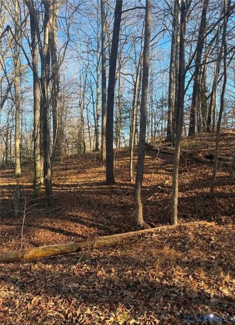 Photo of 000 Slash Pine Circle, Ruther Glen, VA 22546 (MLS # 2601861)