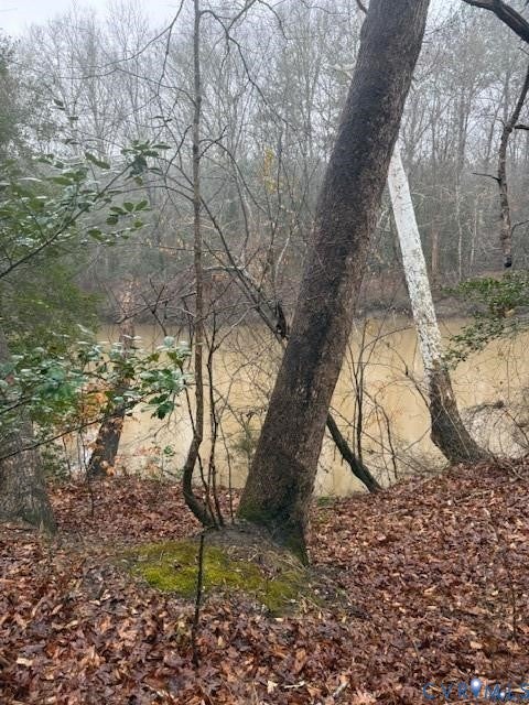 Tiny photo for 26399 Cherry Hill Rd RD, Mc Kenney, VA 23872 (MLS # 2623503)