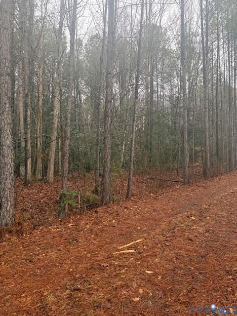 Tiny photo for 26399 Cherry Hill Rd RD, Mc Kenney, VA 23872 (MLS # 2623503)